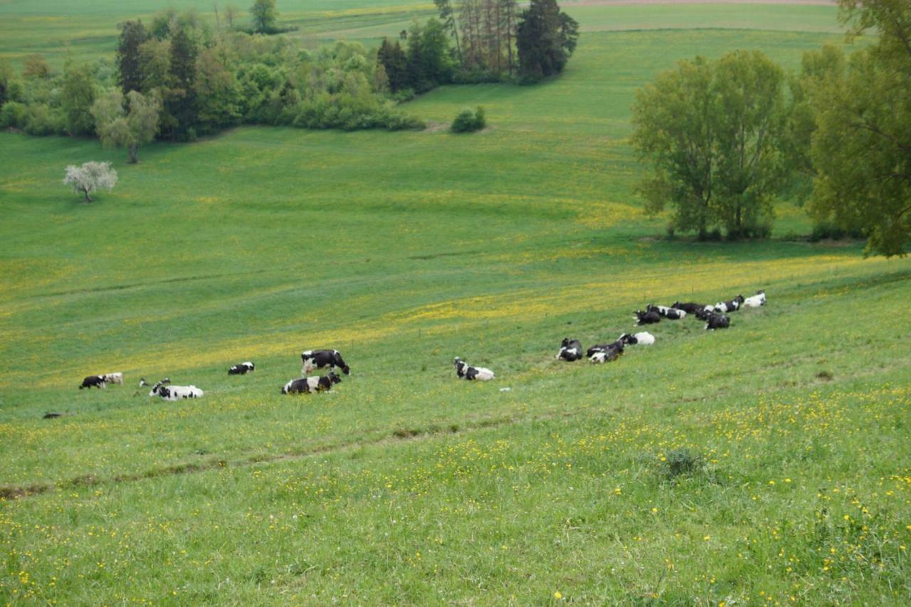 Fernblick Auf Dem Bauernhof Lejlighed Bannholz Eksteriør billede
