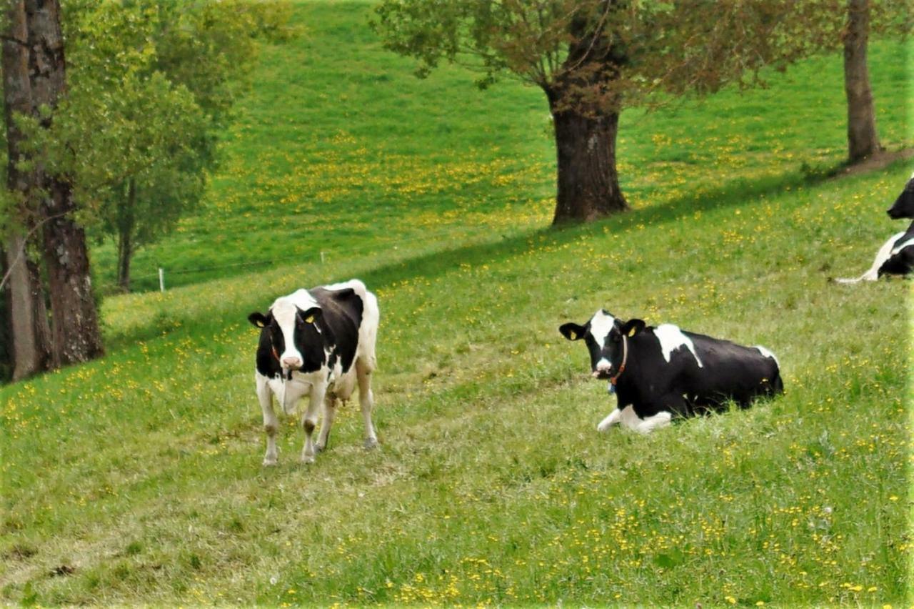 Fernblick Auf Dem Bauernhof Lejlighed Bannholz Eksteriør billede